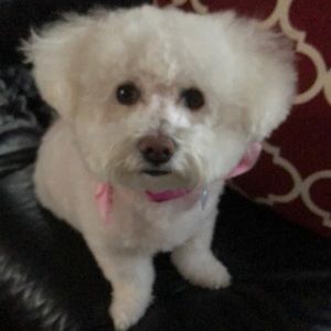 Meet your Posher, Debbie